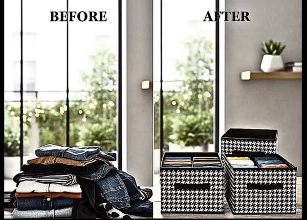 WhatsApp Image 2026-04-11 at 3.58.42 PM