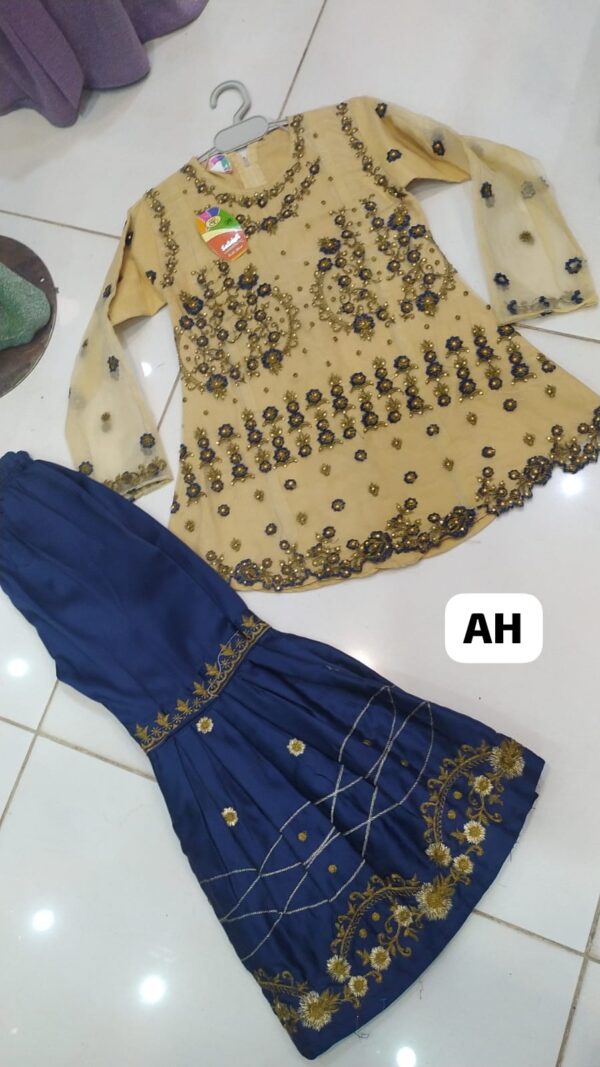 WhatsApp Image 2026-04-14 at 1.14.19 AM