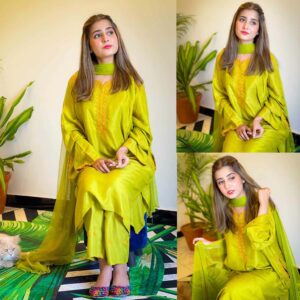 Embroidery 2-Pcs Stitched Suit