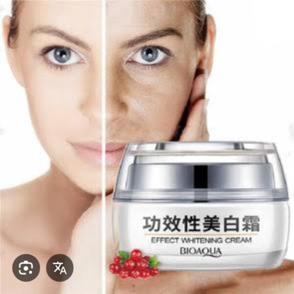 WhatsApp Image 2026-04-21 at 5.00.20 PM