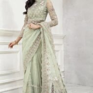 Luxury Embroidered Net Saree Set for Women - Mint Green - view 1