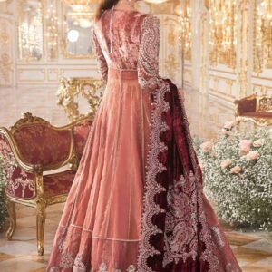 Embroidered Net Maxi Dress Fabric Set for Women - Dusty Rose - view 2