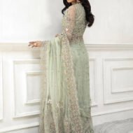 Luxury Embroidered Net Saree Set for Women - Mint Green - view 2