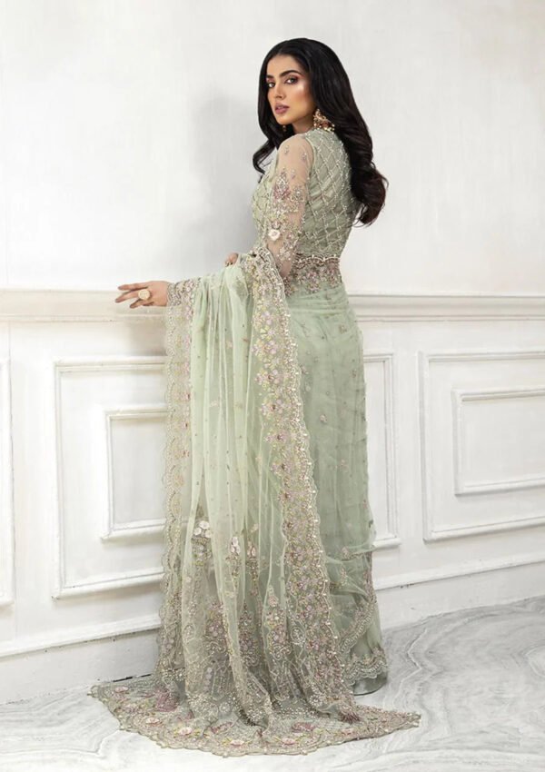 Luxury Embroidered Net Saree Set for Women - Mint Green - view 2