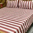 New Variety Pure Cotton King Size Bedsheet 3 Pieces