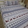 New Variety Pure Cotton King Size Bedsheet 3 Pieces