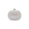 Shimmer Party Clutch
