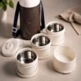 Appollo Riwayat Lunch Carrier Large Tiffin Box 3 steel bowls 1 salad bowl Leak Proof Food Grade Easy to Carry - High Qua
