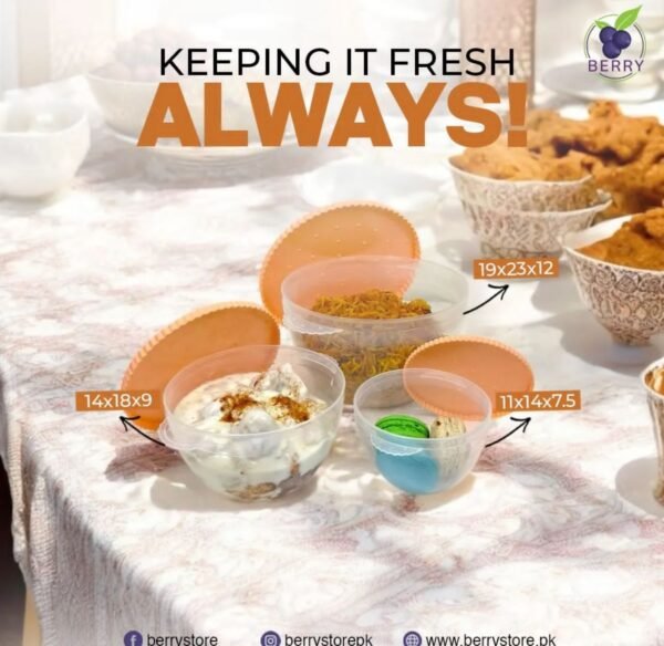 berry-bisco-large-plastic-bowl-3-pcs-set-without-cap-2