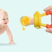 Fruit pacifier - Best Price in Pakistan
