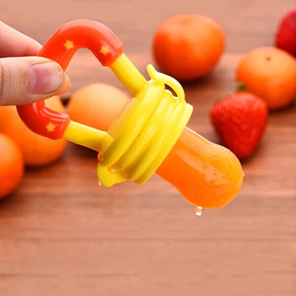 Fruit pacifier - Best Price in Pakistan