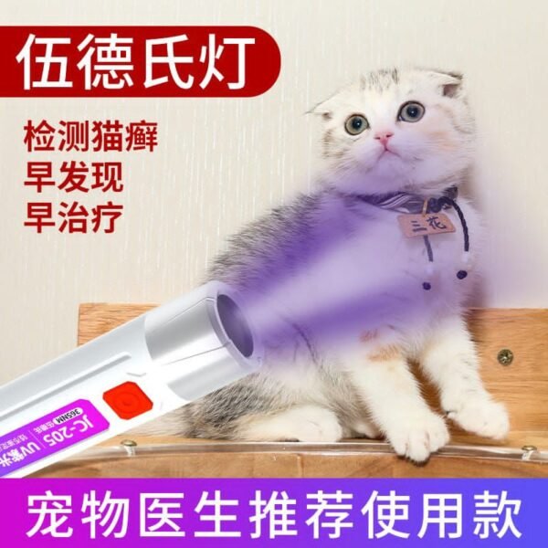Handheld Light Money Detector, Currency Detector