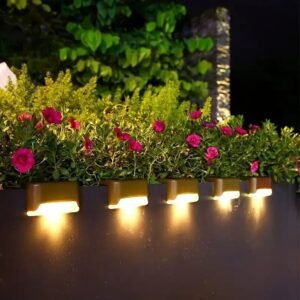 Solar fence lights glowing warm above a garden wall at night