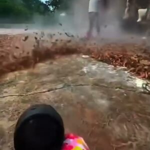 Cordless jet blower in action blowing dust and leaves off the ground