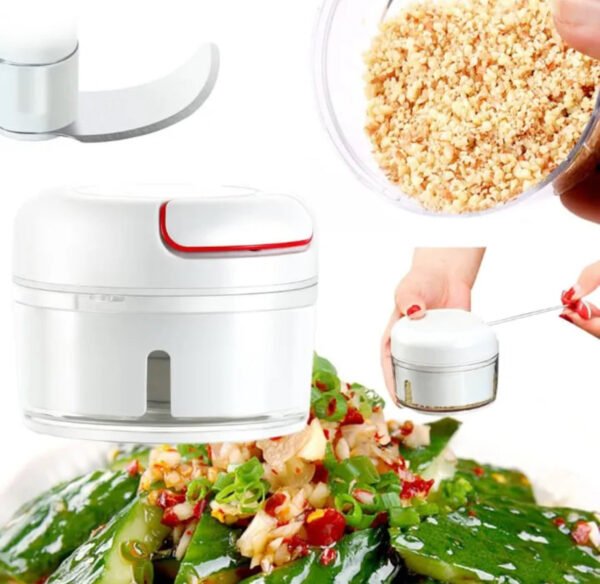 Small Garlic Slicer Small Speedy chopper