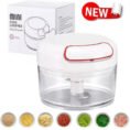 Small Manual food chopper & Garlic chopper