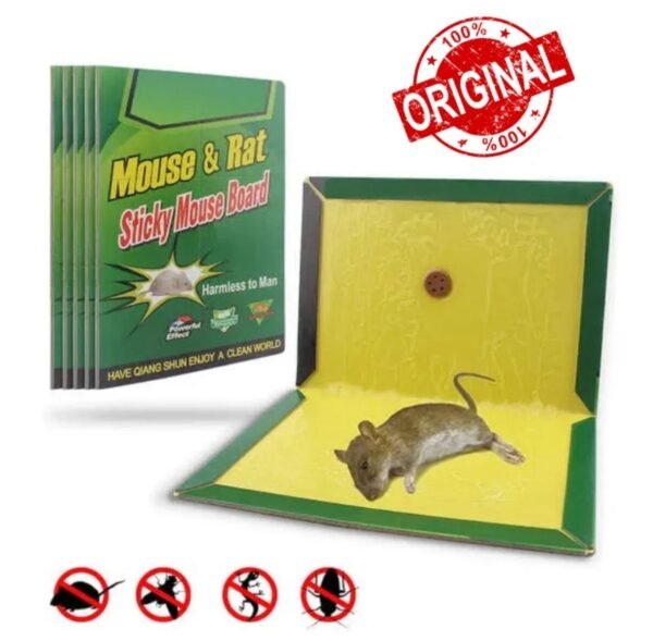 Mouse Trap Glue Book - with Cash on Delivery