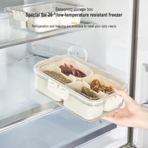 Multi-purpose Acrylic Plastic 4 Grid Food & Spices Container