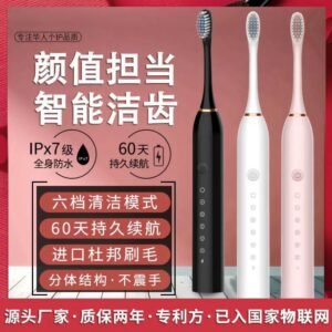 Ultrasonic Sonic Rechargeable Toothbrush