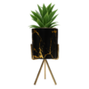 Design / Color Pic #3
