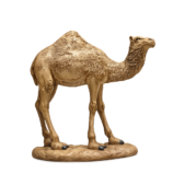zamzam-9436513698015-2