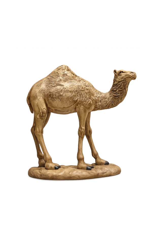 zamzam-9436513698015-2