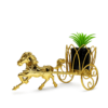 Design / Color Pic #3