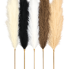 Design / Color Pic #3