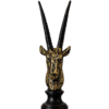 Design / Color Pic #3