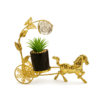 Design / Color Pic #3