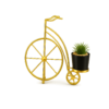 Design / Color Pic #3