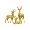 Design / Color Pic #3